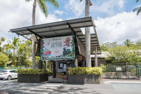 The Sunshine Coast: The Ginger Factory Play All Day