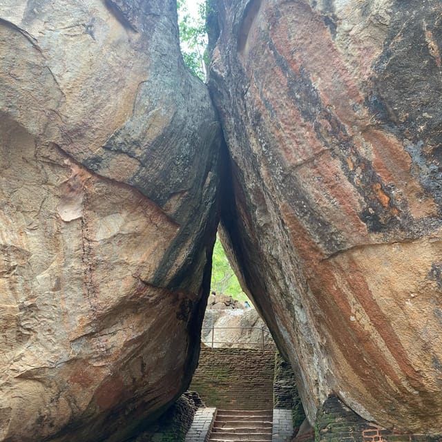 Desde Bentota Excursi N A La Roca Del Le N De Sigiriya Y Al Templo De La Cueva De Dambulla