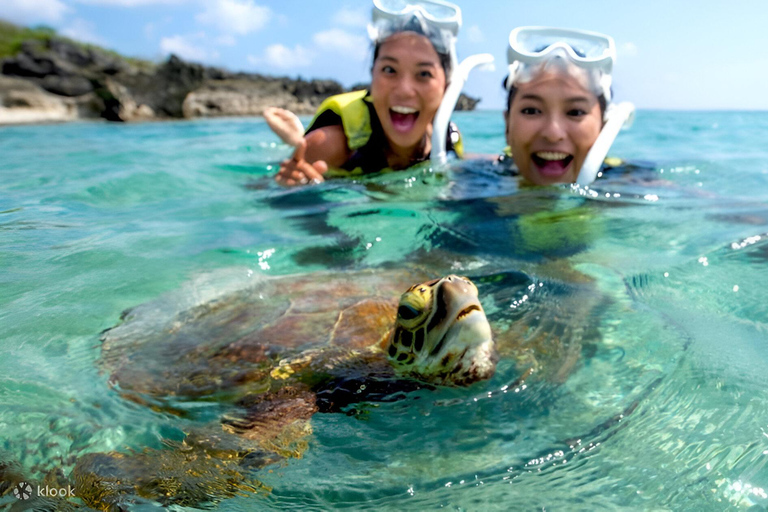 Bali: Snorkling på 2 platser med lunch och transport