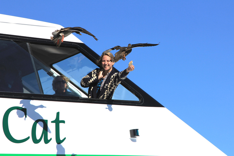 Lake Taupo: Maori Rock Carvings 8.30 AM 1.5-Hour Cruise