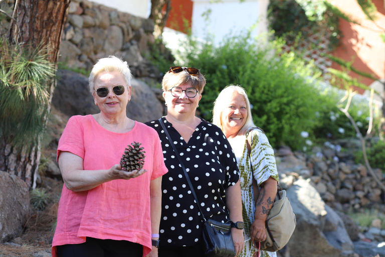 Gran Canaria: degustazione di vino e formaggio locale a Mogan