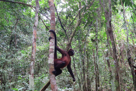 2 Days 1 Night in Corcovado Sirena From Drake Bay