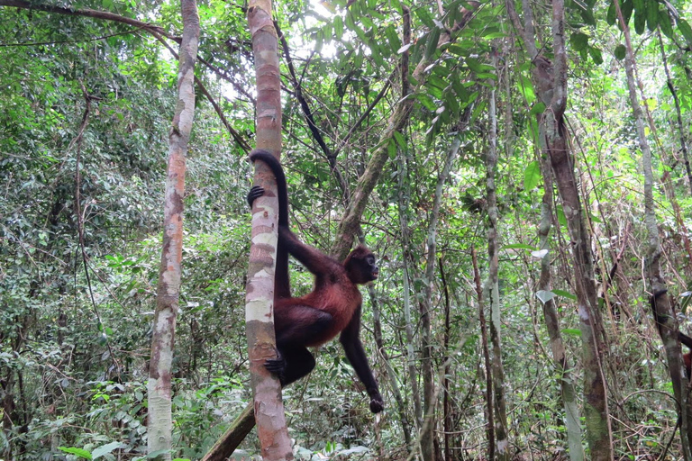 2 Days 1 Night in Corcovado Sirena From Drake Bay