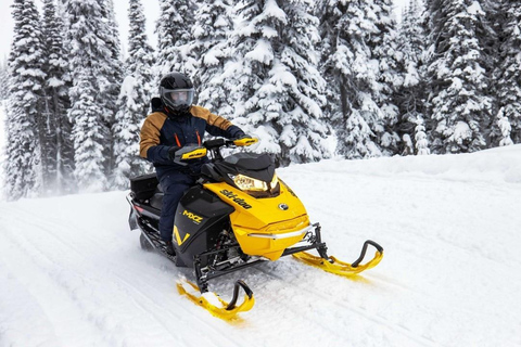 Explore the depths of the Canadian forest in Snowmobile