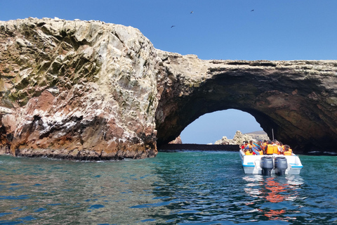 从利马出发：巴列斯塔斯群岛、瓦卡奇纳沙滩越野车和沙板滑行不返回利马