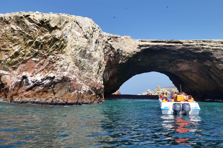 从利马出发：巴列斯塔斯群岛、瓦卡奇纳沙滩越野车和沙板滑行不返回利马