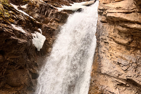 Calgary: Banff,Moraine,Emerald Lake and Canyon Day Trip