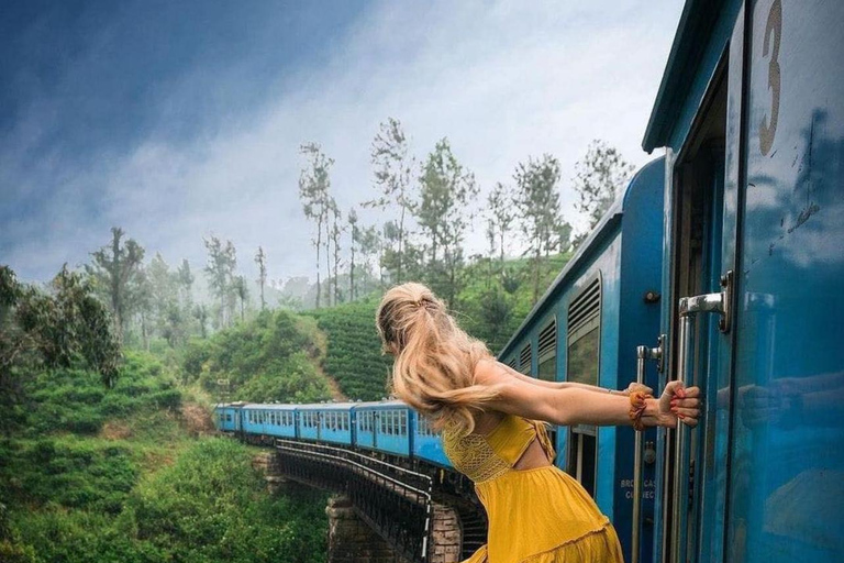 Kandy To Ella Private Transfer With Train Ride Hidden Stops
