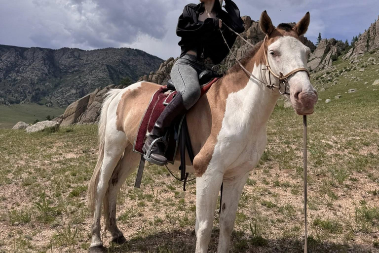 Mongolia: Genghis Khan Statue & Terelj National Park Tour