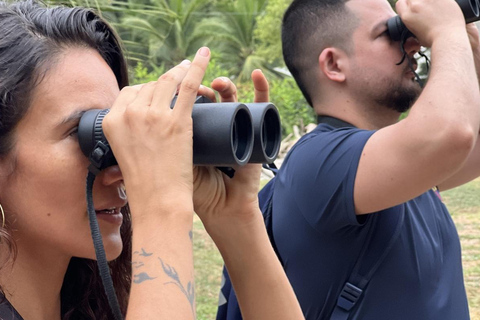 Palomino: Guided Birdwatching Tour with Hotel Pickup