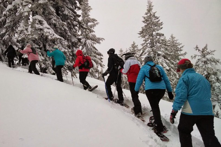 Ciaspolata privata di una giornata intera