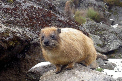 Jednodniowa wycieczka na górę Kenia