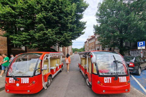 Gdansk: City Tour Sightseeing Golf Cart Main City District