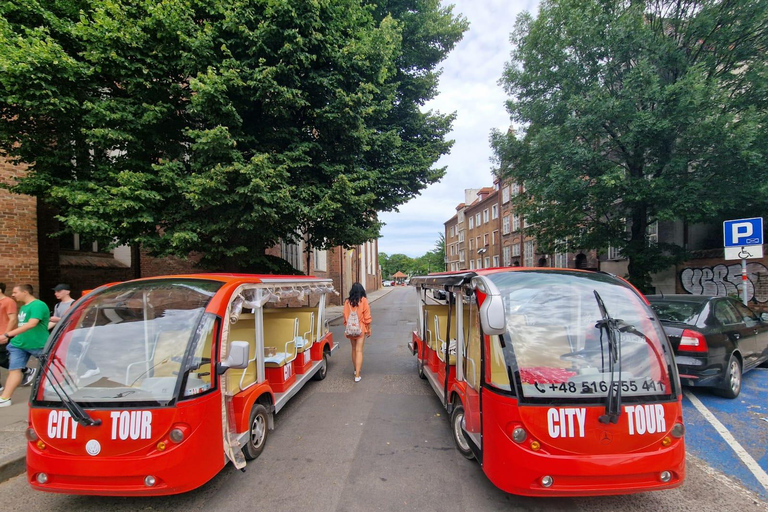 Gdansk: Tour de la ciudad en carrito de golf Distrito principal de la ciudad