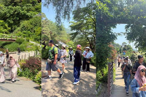 Seoul: Nami Island, Garden of Morning Calm, & Railbike Tour
