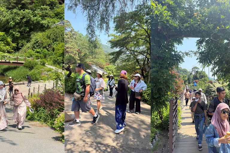 Seoul: Nami Island, Garden of Morning Calm, & Railbike Tour