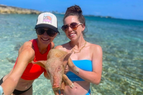 Isla de las Perlas: Playa de los Cerdos con almuerzoIsla de las Perlas: Playa de los Cerdos con almuerzo y kayak