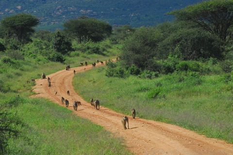Tsavo Express 3 Days/ 2 Nights ( Comfort)