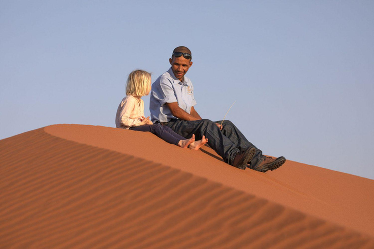 From Windhoek: 6-Day Namibia Safari with Lodging & Meals