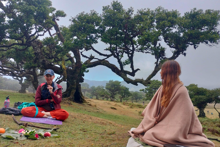 Madeira: Fanal Forest Tree Connection Zeremonie &amp; Picknick