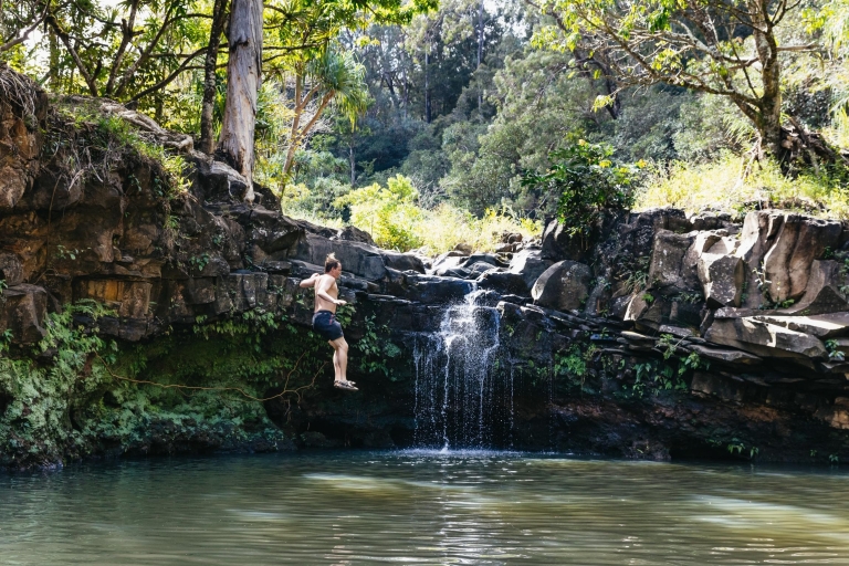Maui: cascadas y selva tropical con almuerzo de pícnic