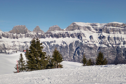 Flumserberg Day Trip: Train + Cable Car + Snow Fun