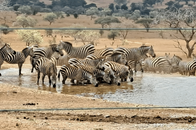 Kenia: 6 Tage Spirit of Kenya Tented Tour