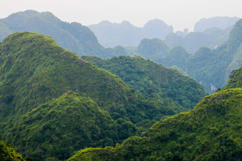 HANOI: ERKUNDE CAT BA - LAN HA BUCHT (2 TAGE, 1 NACHT)