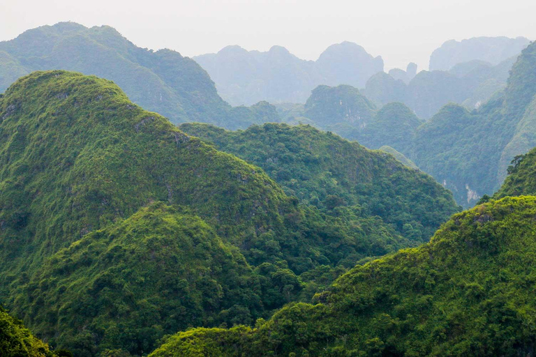 HANOI : EXPLORATION DE CAT BA - BAIE DE LAN HA (2JOUR 1NUIT)