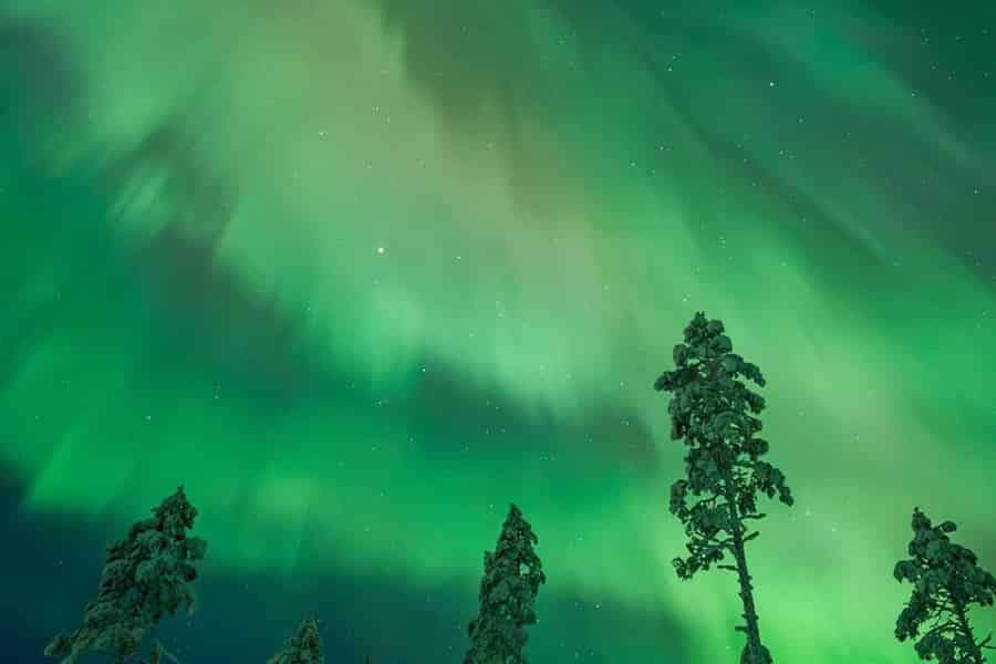 Anchorage: Polarlichter-Tour mit Hotelabholung. Foto: GetYourGuide Anchorage: Polarlichter-Tour mit Hotelabholung. Foto: GetYourGuide