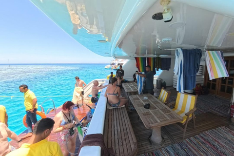 Hurghada: Scuba Diving cruise with lunch & pickup Single Beginner introduction dive with pickup and lunch