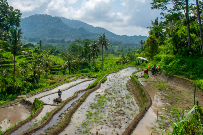 Sidemen Trekking : Une marche dans une perspective différente