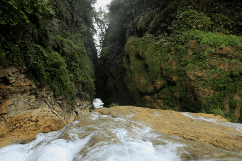 Chiapas: Dagvullende tour naar Las Nubes