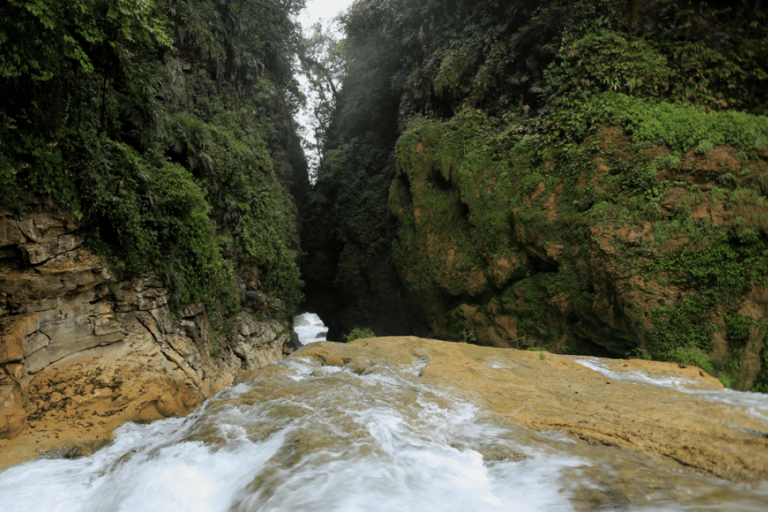 Chiapas: Dagsutflykt till Las Nubes