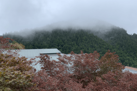 Yilan Taipingshan &amp; Jiuzhize Hot Spring Privat dagsutflykt