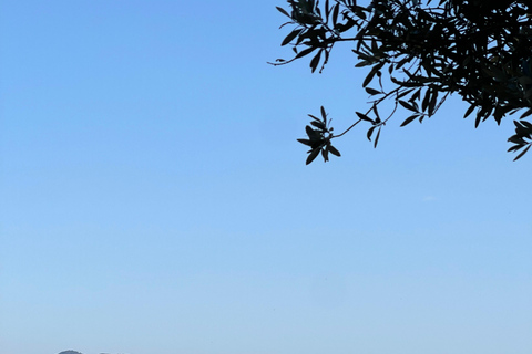 Genoa - Sori: Tours and Lessons, live Italy like a local! Genoa - Sori: Tours and Lessons, experience Italy like a local!