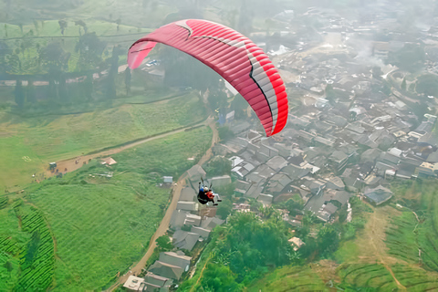 Excursion à Jakarta : Parapente au sommet d'une montagne et plantation de thé