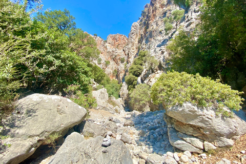 Creta: Tour guiado de senderismo por el Cañón de Kritsa