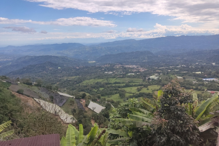 Vanuit Bogota: Tour naar een biologische Marihuana boerderij.Vanuit Bogota: Tour naar een biologische Marihuana boerderij