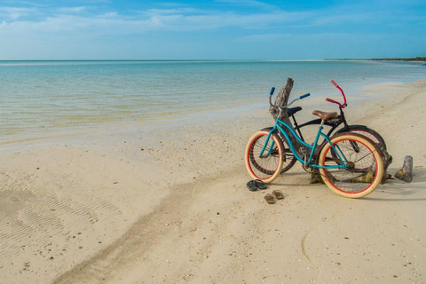 Cancun: Holbox Island Tour with Cenote Visit & lunch
