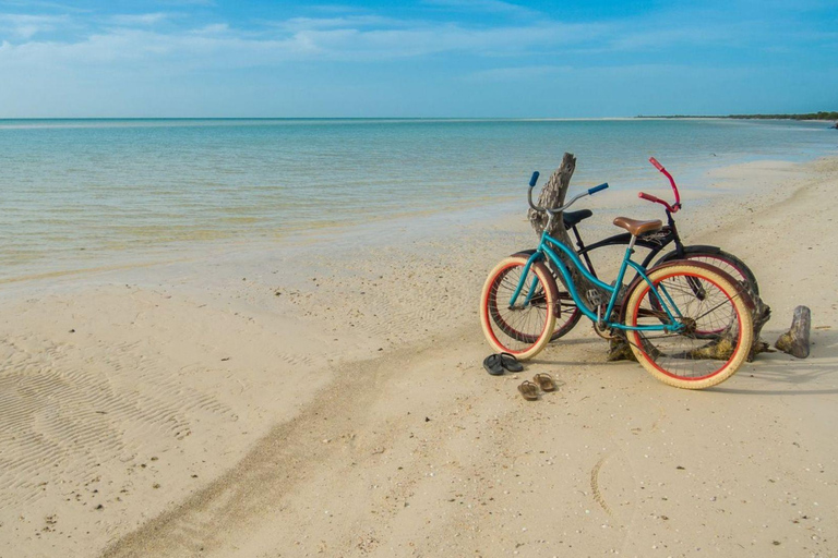 Cancun: Holbox Island Tour with Cenote Visit & lunch