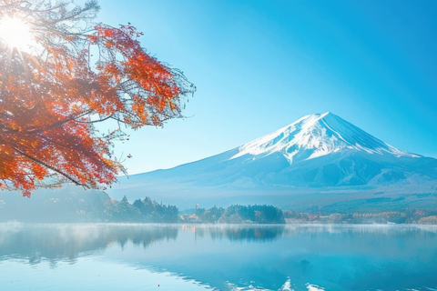From Tokyo: Mt. Fuji Views Private Customize Itinerary Tour
