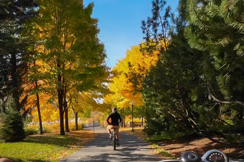 QuebecCity:ebike tours ,parks,public market and microbrewry