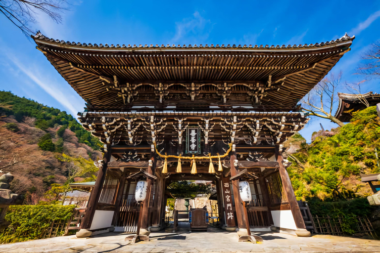 Kyoto: Hidden Gems Private Tour with Hotel Pickup Kyoto: Hidden Gems Private Tour. 7-12 Pax
