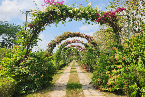 Ixcacao Chocolate & Belize Spice Farm Tour