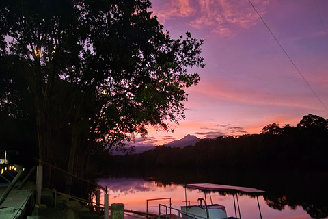 Iwahig River Cruise Firefly Watching