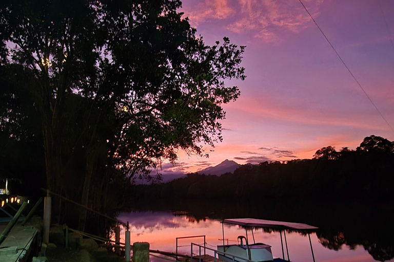 Iwahig River Cruise Firefly Watching