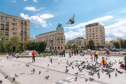 From Chișinău: Iași Guided Day Trip with Private Transport