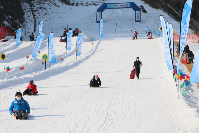 Z Seulu: Dolina Lodowa Eobi, zbieranie truskawek i wycieczka na sankachWyrusz z przystanku Hongik Univ. Station Exit 4