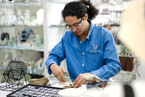 Los Cabos: San Jose del Cabo Art Walk and Beer Tasting Tour Los Cabos: San Jose del Cabo Art Walk and Beer Tasting Tour